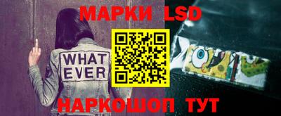 спиды Новокубанск