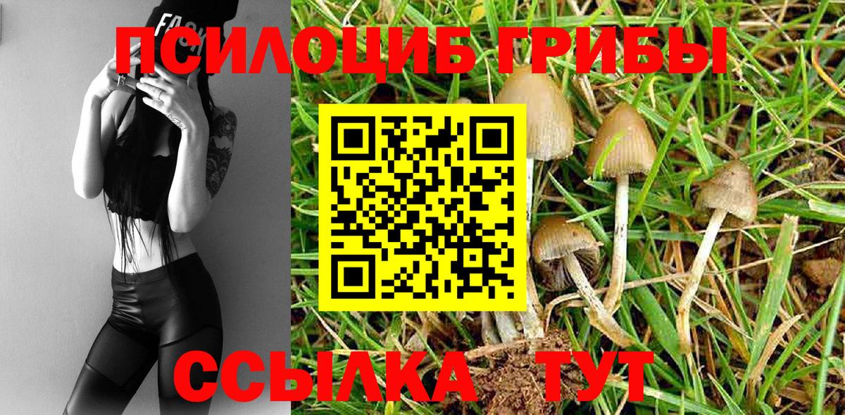 Псилоцибиновые грибы Magic Shrooms Сунжа
