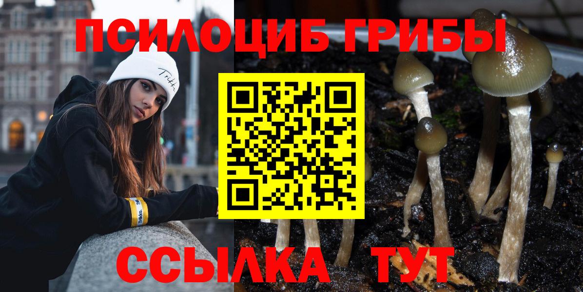 Галлюциногенные грибы MAGIC MUSHROOMS  Вход с VPN  Галлюциногенные грибы GOLDEN TEACHER  Сунжа 